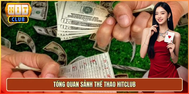 Tổng Quan Sảnh Thể Thao Hitclub