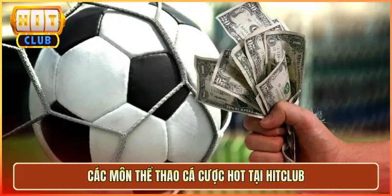 Các Môn Thể Thao Cá Cược Hot Tại Hitclub