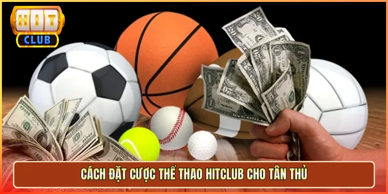 Cách Đặt Cược Thể Thao Hitclub Cho Tân Thủ